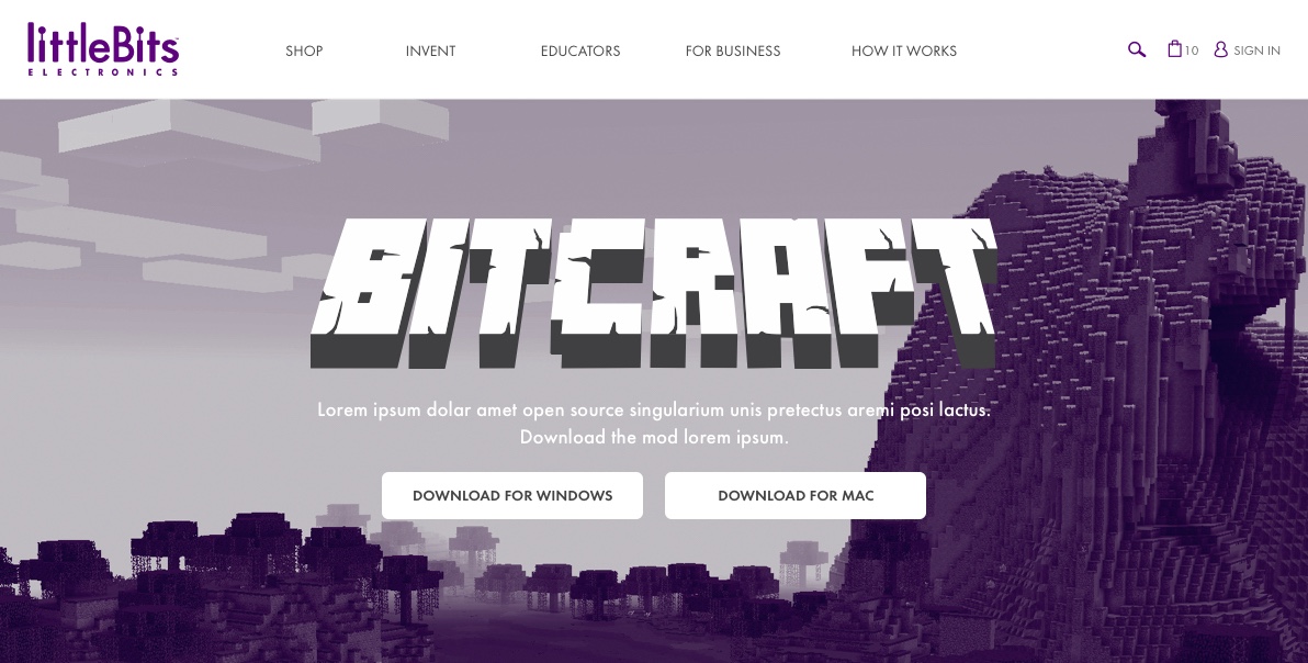 Bitcraft-Landing-Page-v1-1